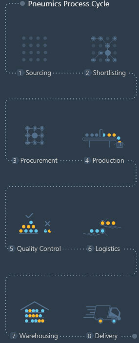 Pneumics Process Cycle